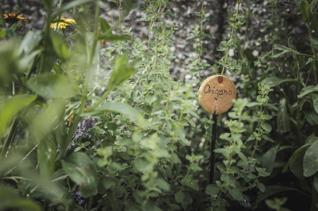 Ahrn Natur Apartment Lutago Zewnętrze zdjęcie