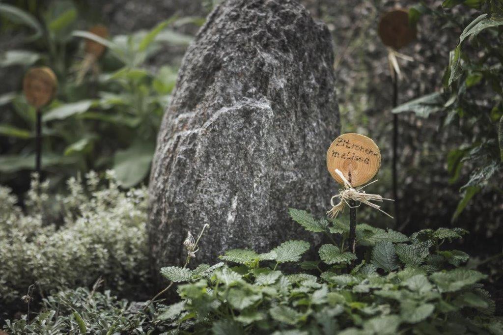 Ahrn Natur Apartment Lutago Zewnętrze zdjęcie
